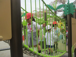 IMG_2655.JPG